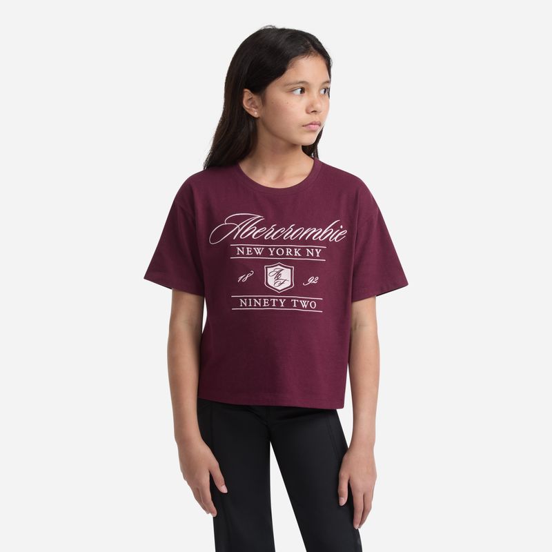 Abercrombie T-shirt cropped fig